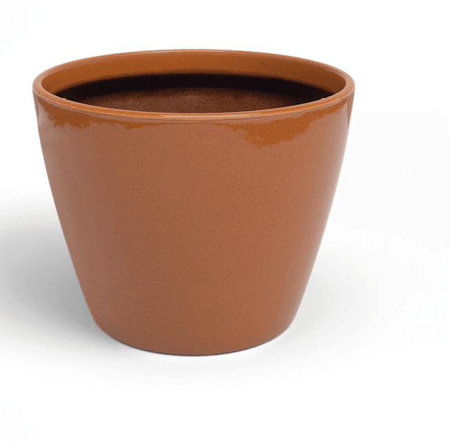 Emília Pot Brio